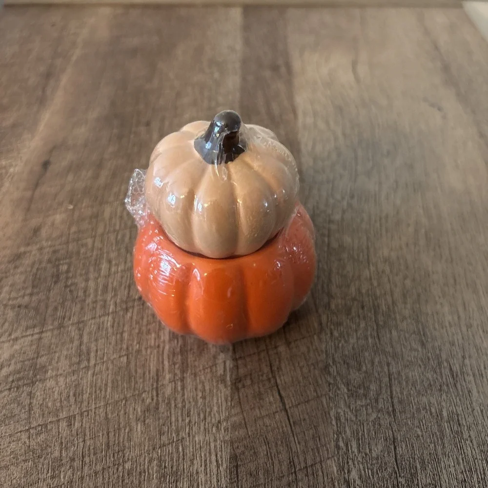 Vintage Stoneware PUMPKIN Salt and Pepper Shakers Set Fruit Cottage Core